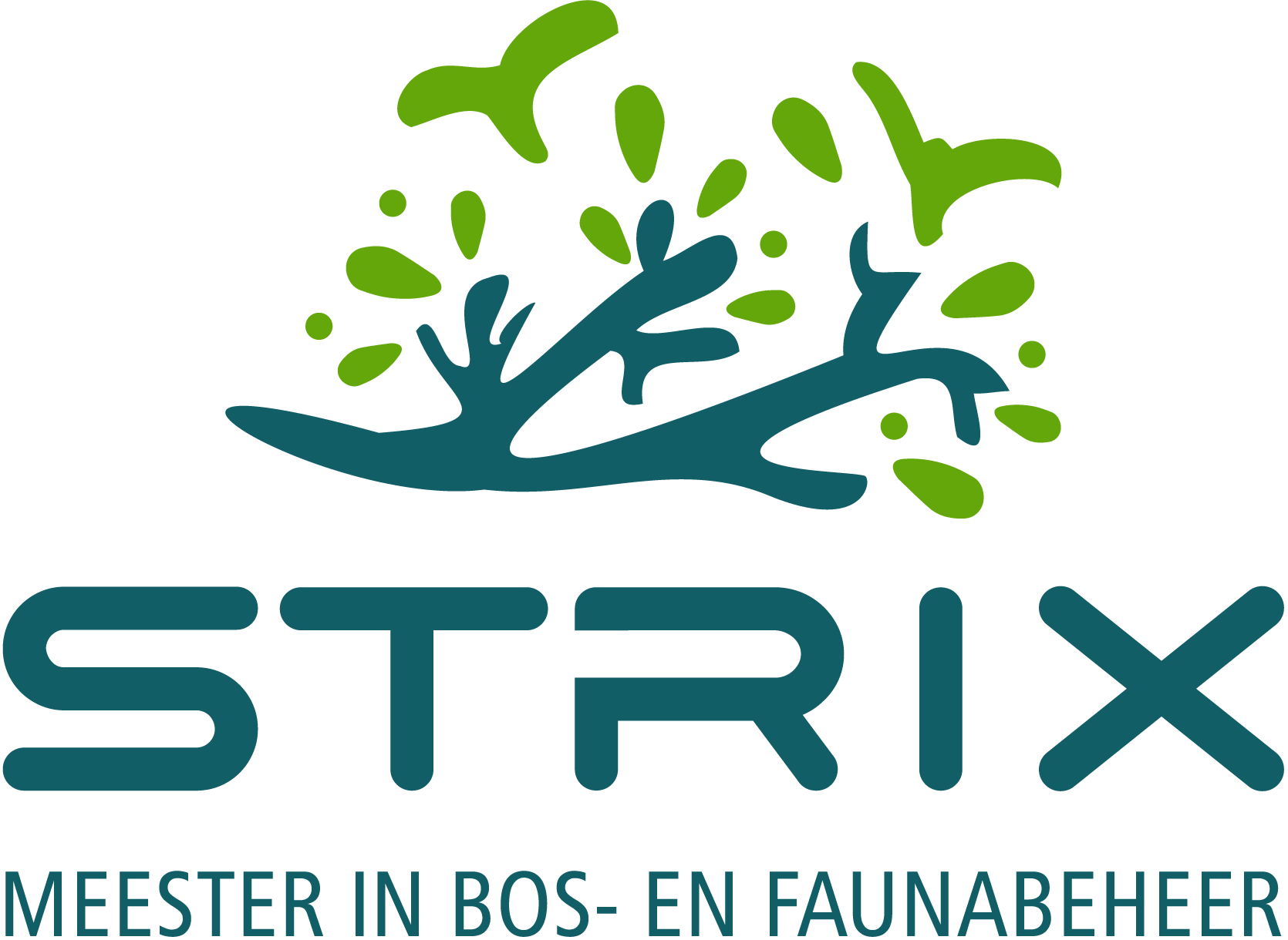 Strix Edu logo